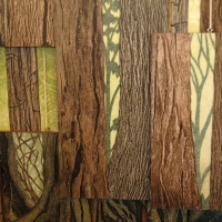 Into the Forest - detail